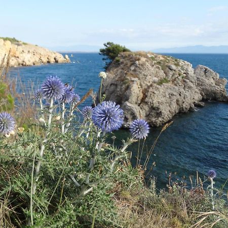 Apartamento Punta Montgo Port De Rei L' Escala Εξωτερικό φωτογραφία
