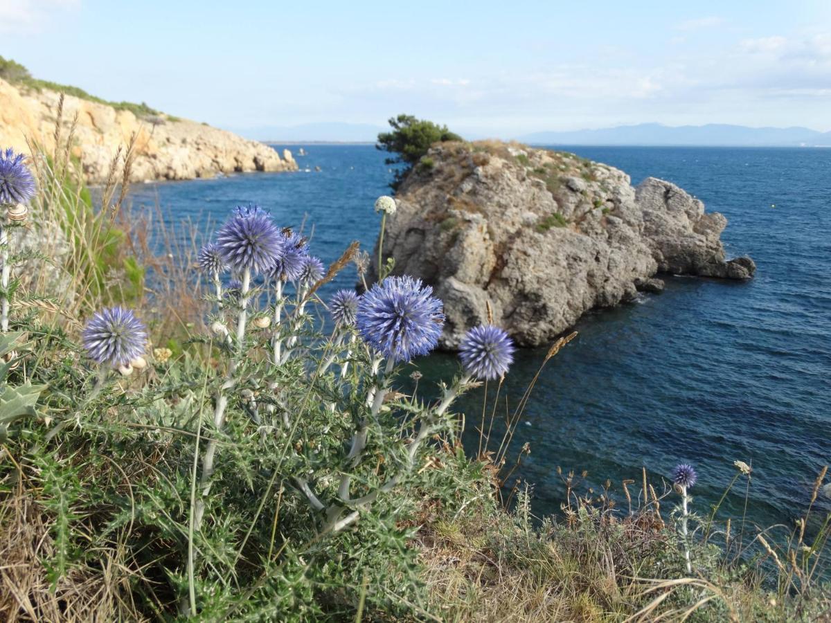 Apartamento Punta Montgo Port De Rei L' Escala Εξωτερικό φωτογραφία
